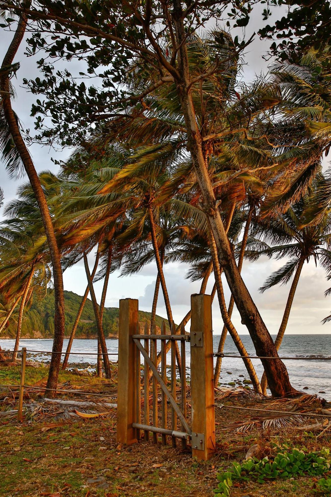 Maison D'O Baie De Saint-Jacques, Sur Une Plage Sauvage Sainte-Marie Exterior photo